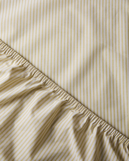Fitted Sheet Cotton Stripe Lemon Ecru